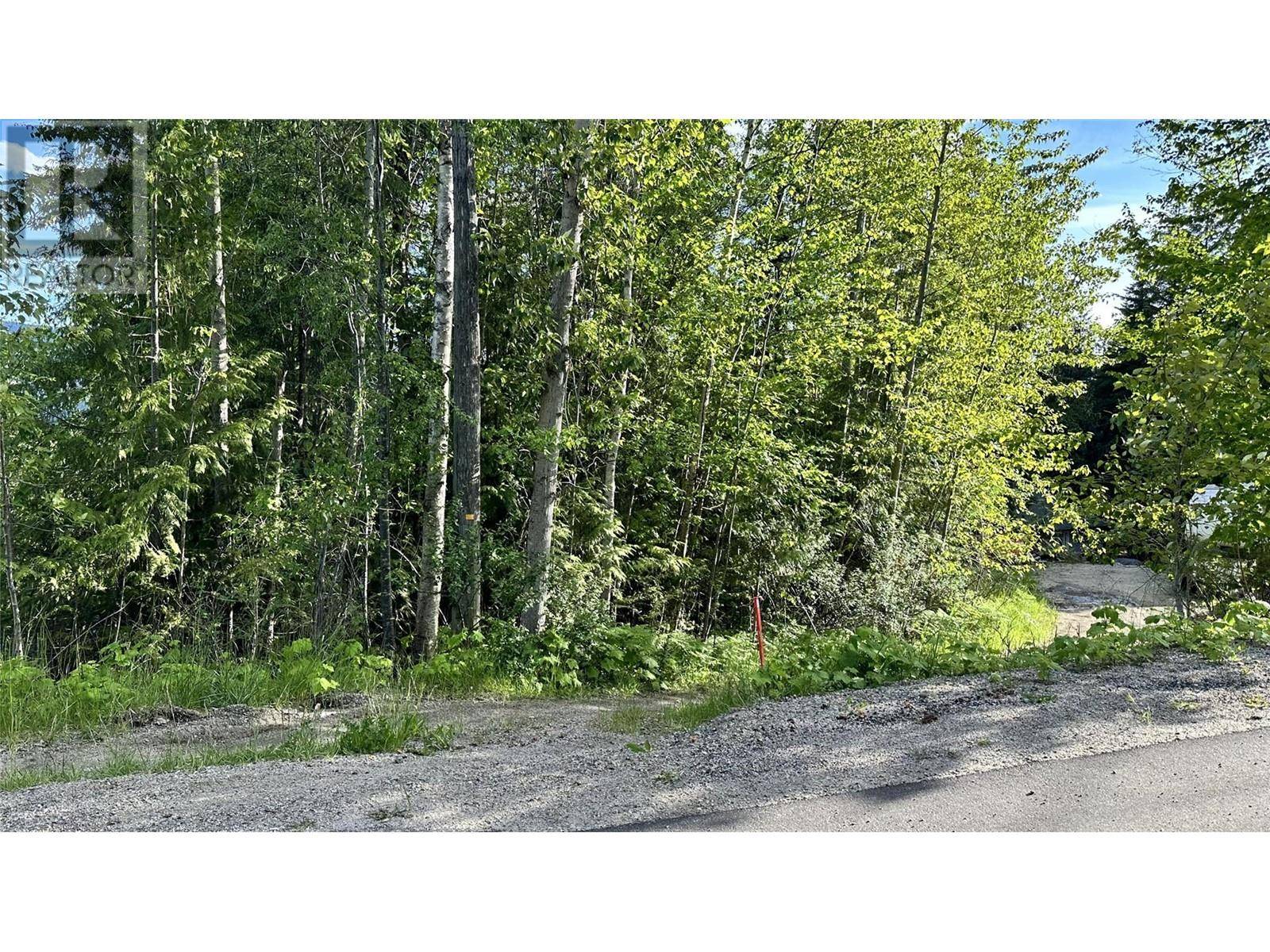 Anglemont, BC V0E1M8,Lot 157 Estate Place