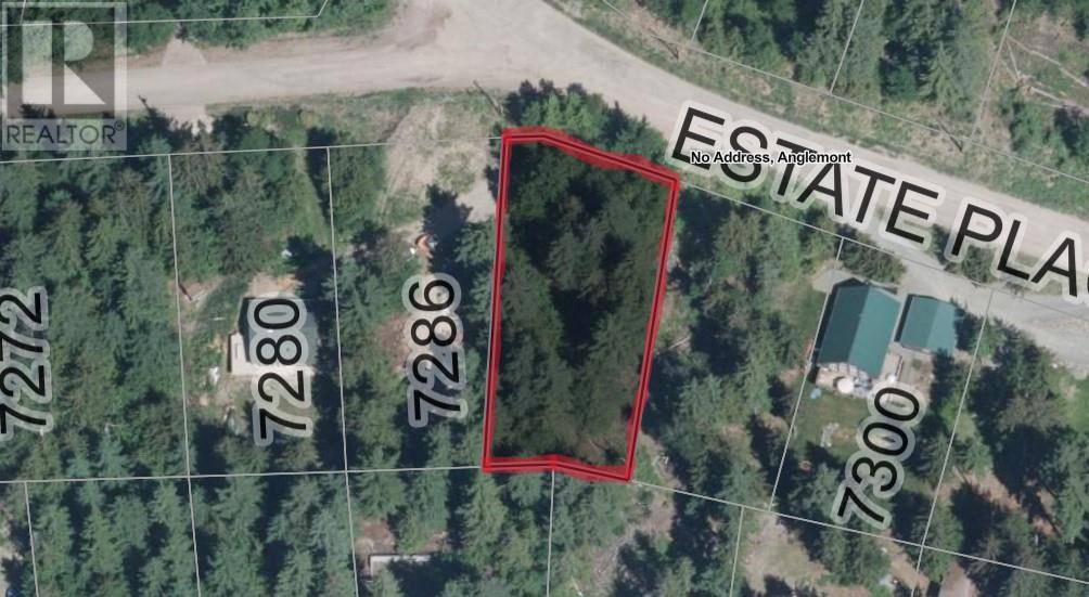 Anglemont, BC V0E1M8,Lot 157 Estate Place