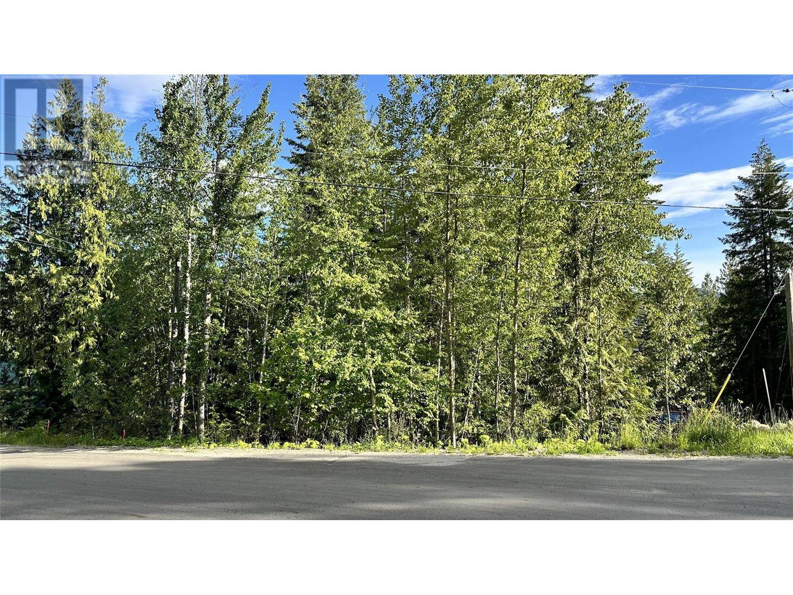 Anglemont, BC V0E1M8,Lot 157 Estate Place