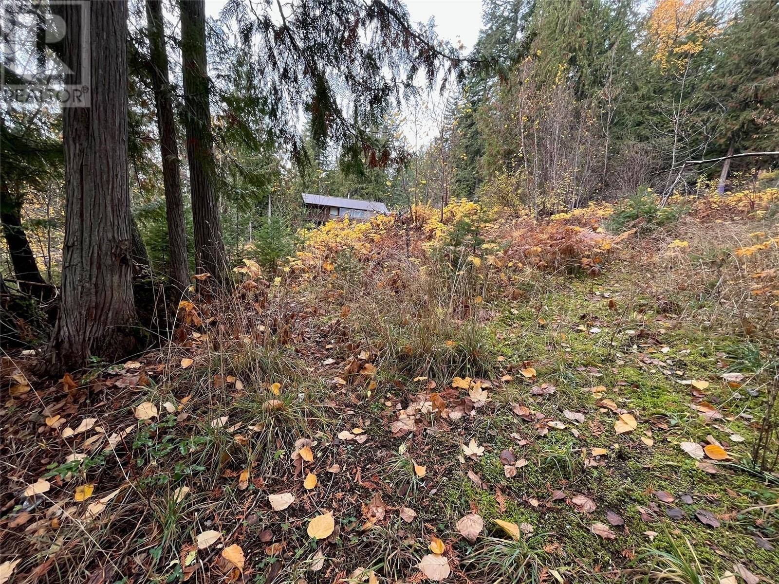 Anglemont, BC V0E1M8,Lot 150 Anglemont Drive