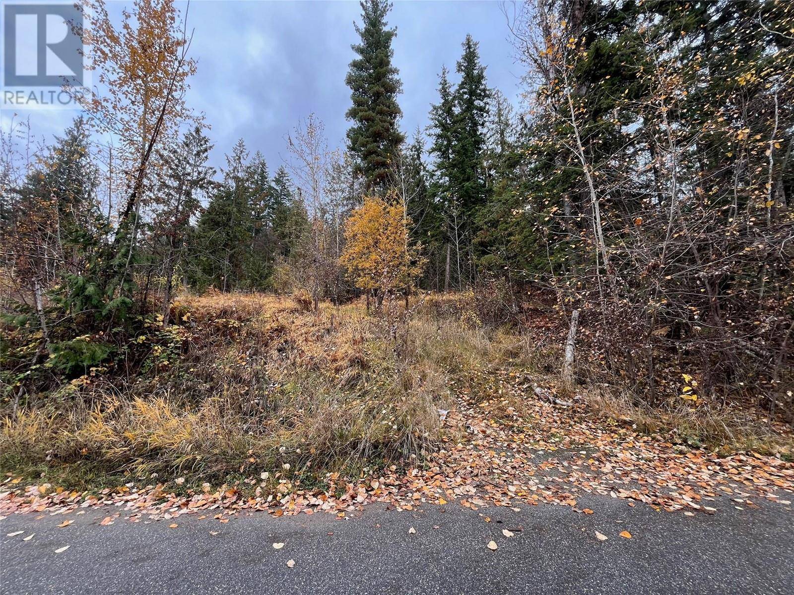 Anglemont, BC V0E1M8,Lot 150 Anglemont Drive