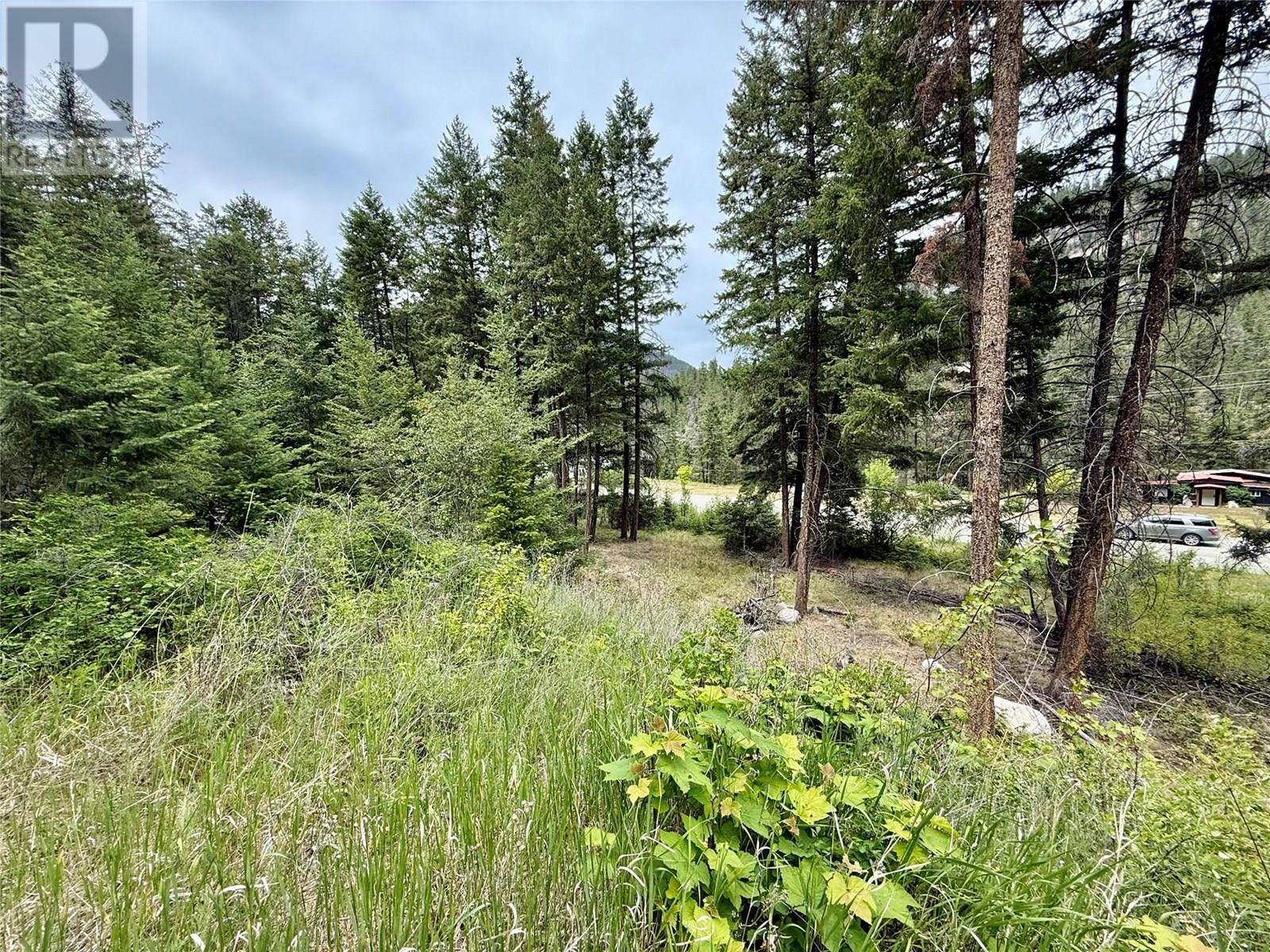 Princeton, BC V0X1W0,938S HWY 3 Other #DL