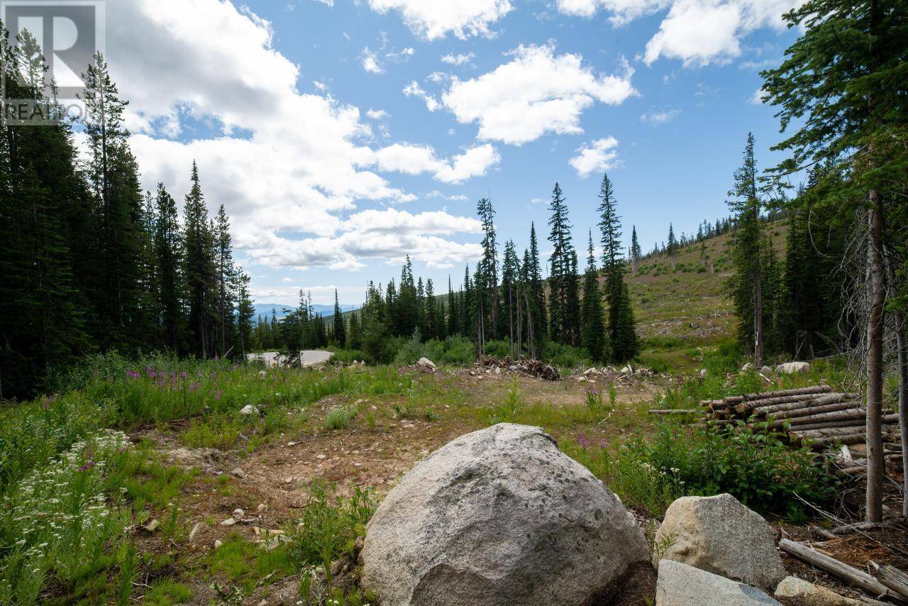 Mount Baldy, BC V0H1B0,369 Buck Road