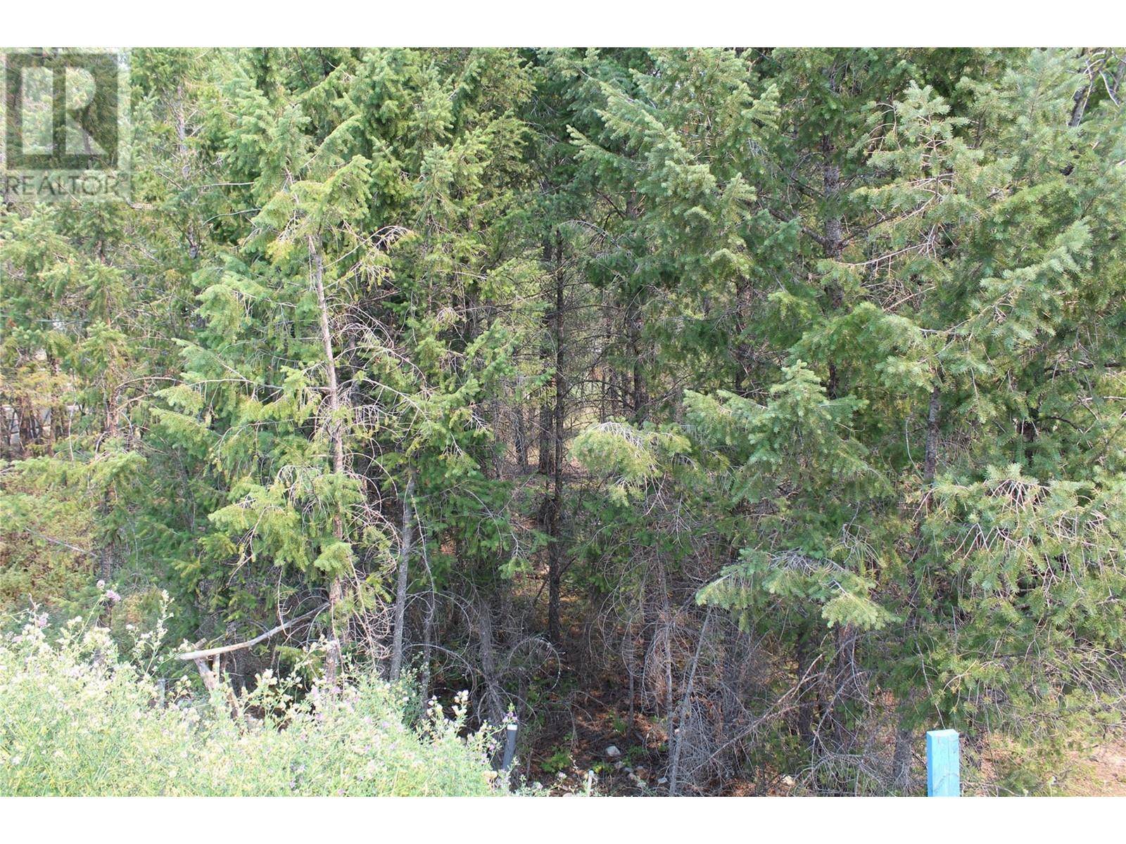 Windermere, BC V0B2B0,Lot 21 Copperpoint Way