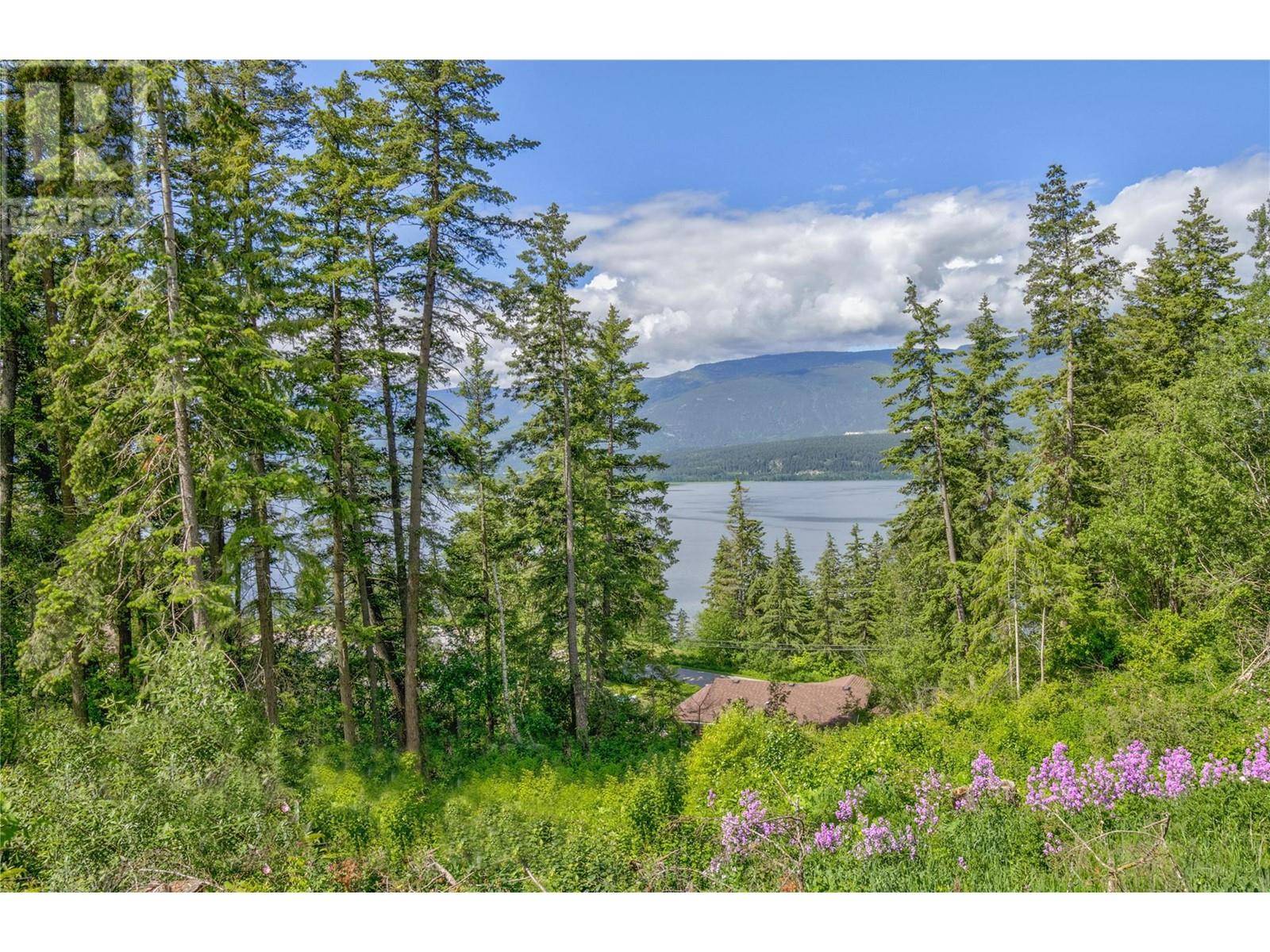 Salmon Arm, BC V1E2G9,3541 20 Street NE
