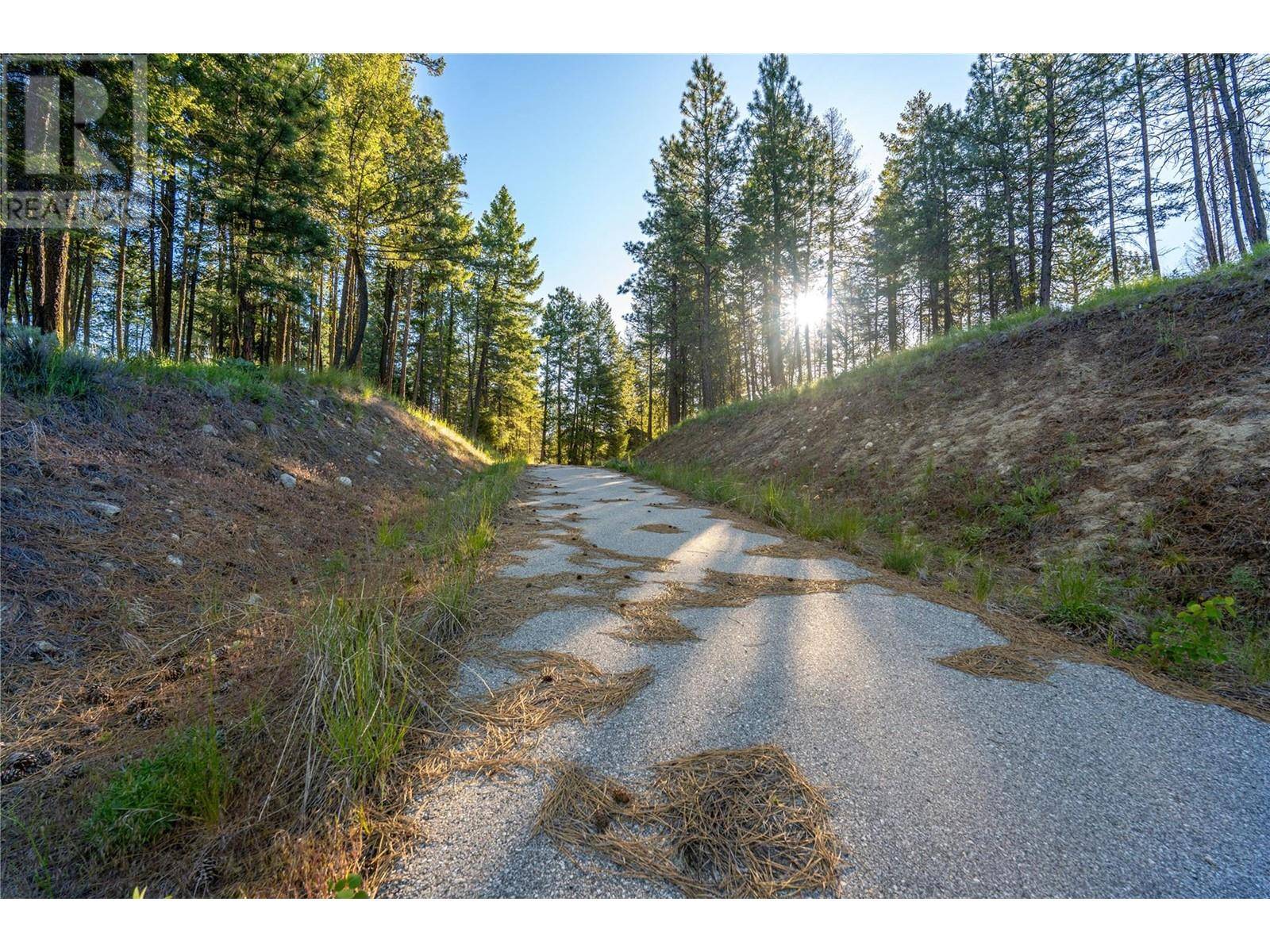 Osoyoos, BC V0H1V6,375 Grizzly Place