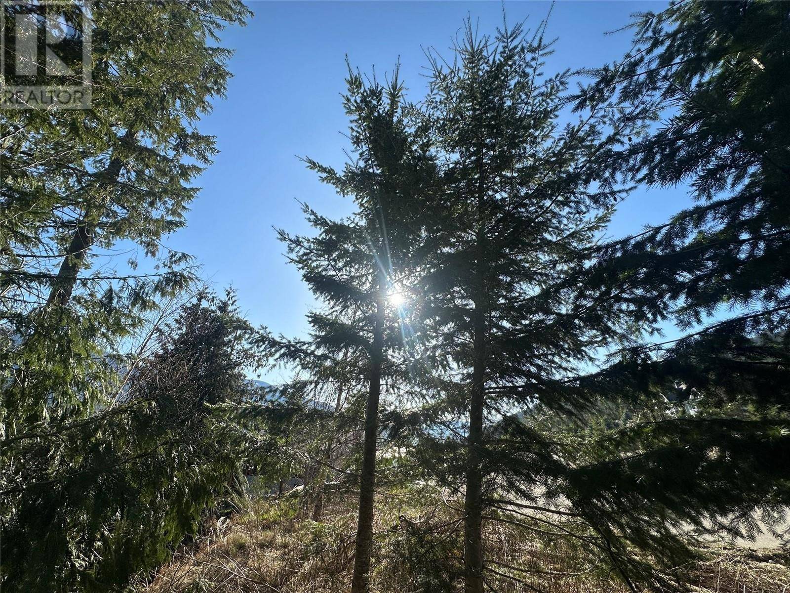 Nelson, BC V1L5P3,6812 GRANDVIEW Drive