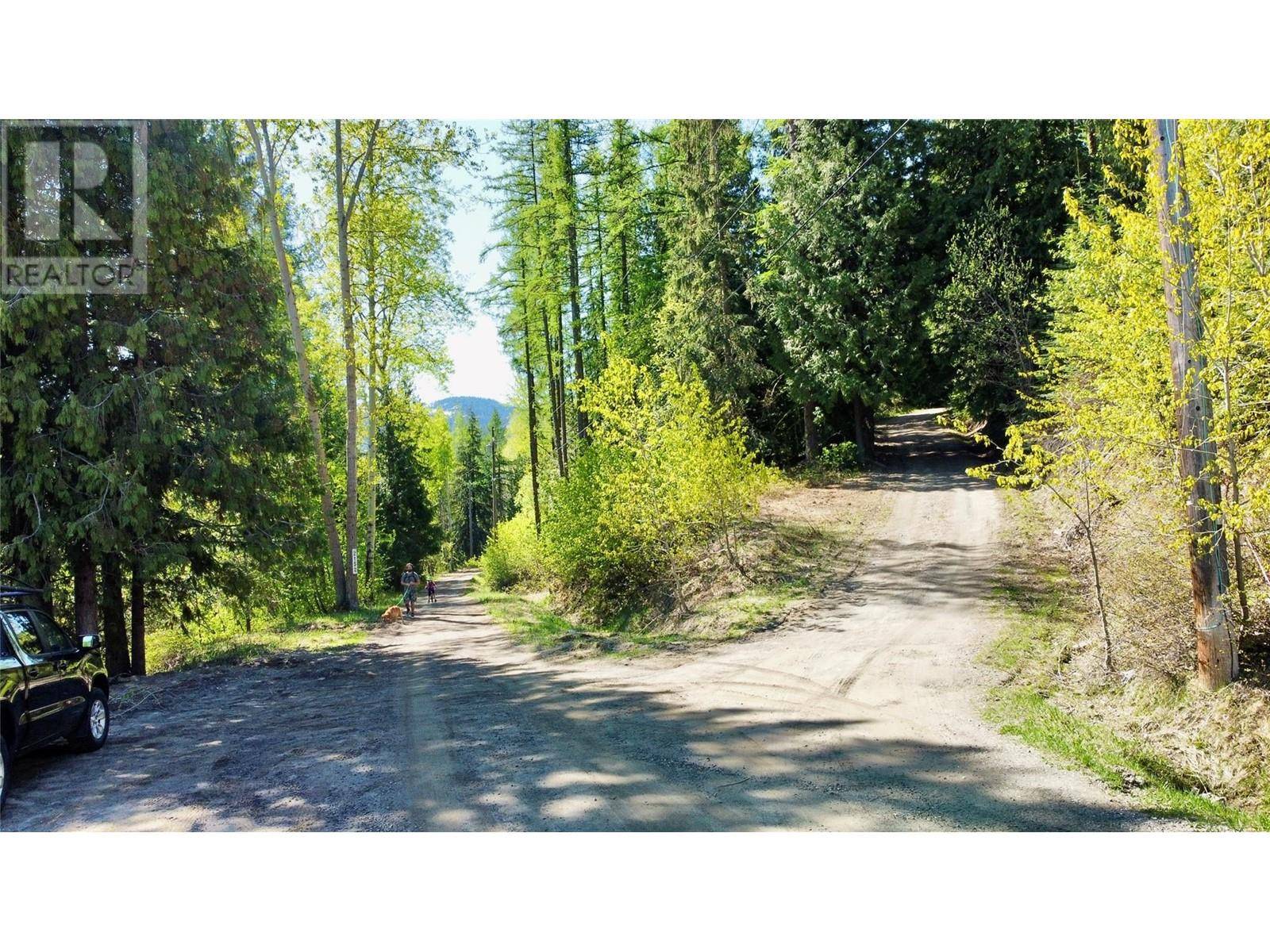 Rossland, BC V0G1Y0,2009 Happy Valley Road