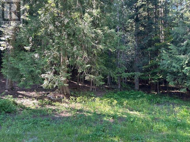 Salmo, BC V0G1Z0,Lot A MACLURE Avenue