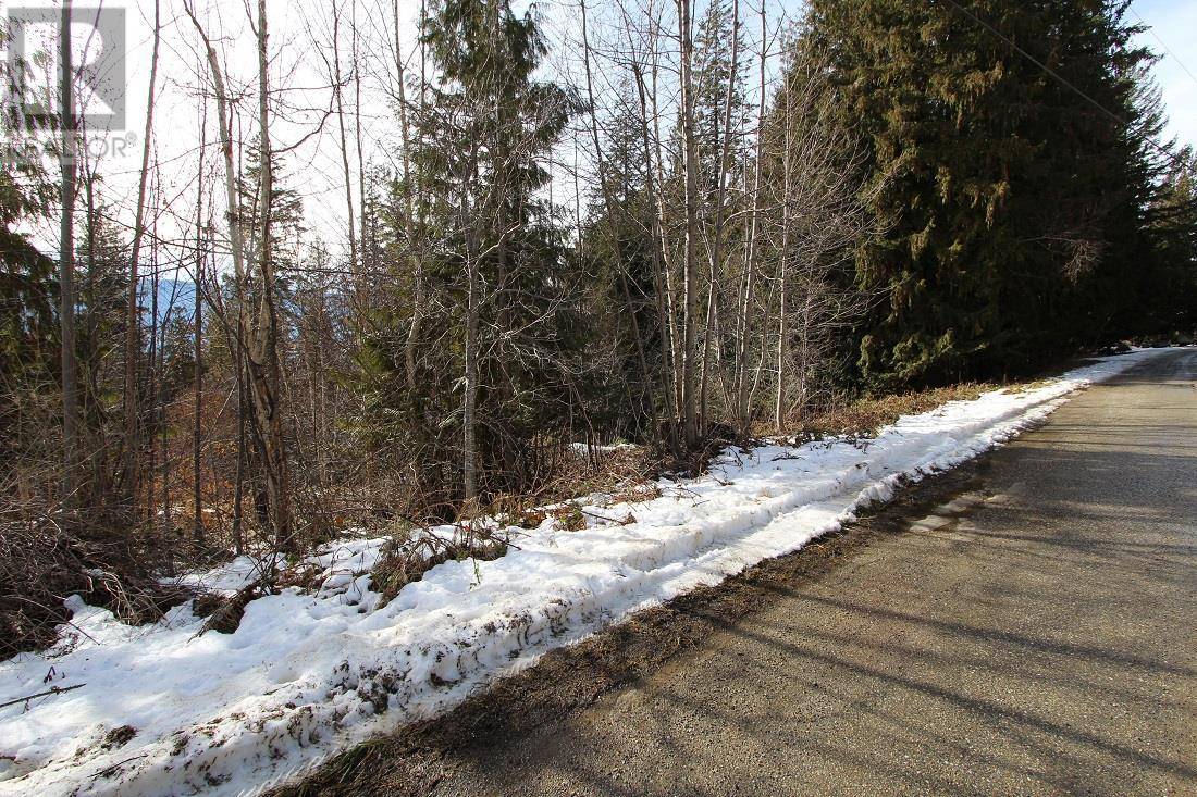 Anglemont, BC V0E1M8,Lot 22 Stampede Trail