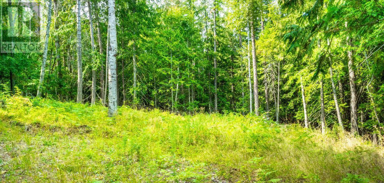 Creston, BC V0B1G7,Lot 3 SIMMONS Road