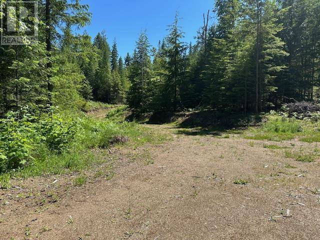 Kaslo, BC V0G1M0,Lot A Highway 31