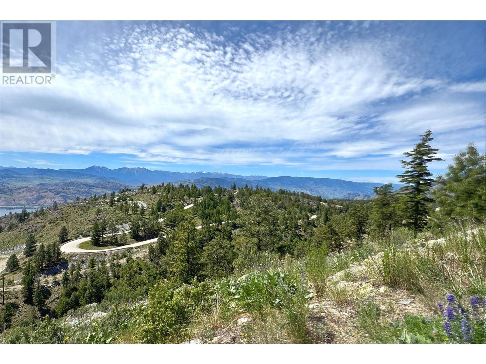 Osoyoos, BC V0H1V5,387 MULE DEER Drive Lot# 20