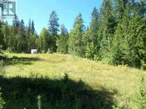 Lumby, BC V1T8V3,1828 6 Highway