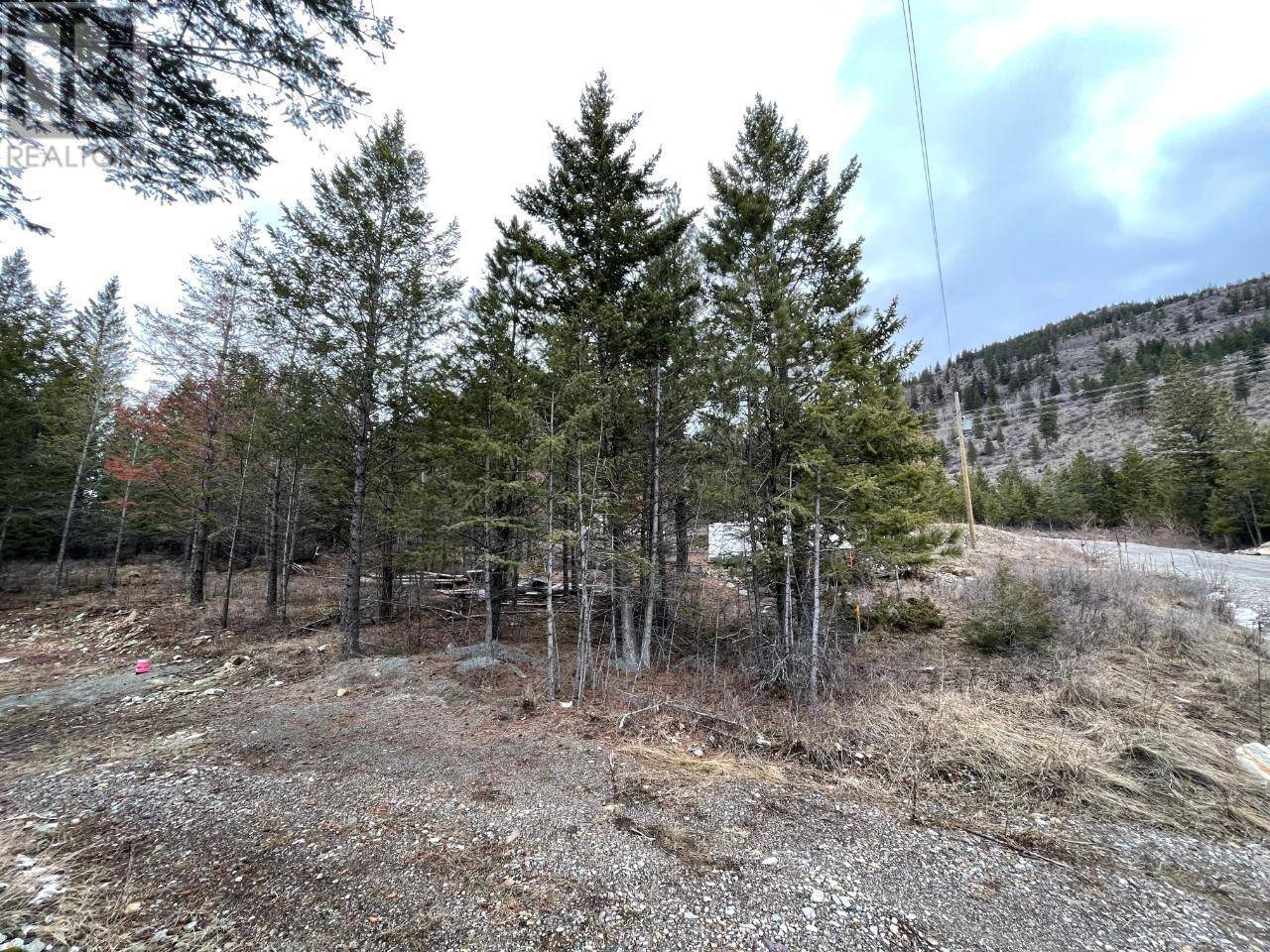 Elko, BC V0B1T3,8828 NORTH HIRTZ Street