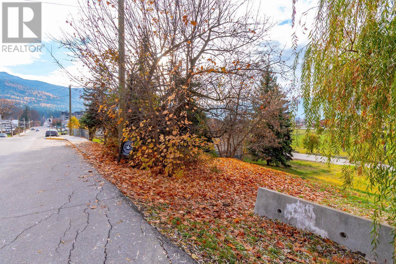 Salmon Arm, BC V1E4N2,161 Shuswap Street SW