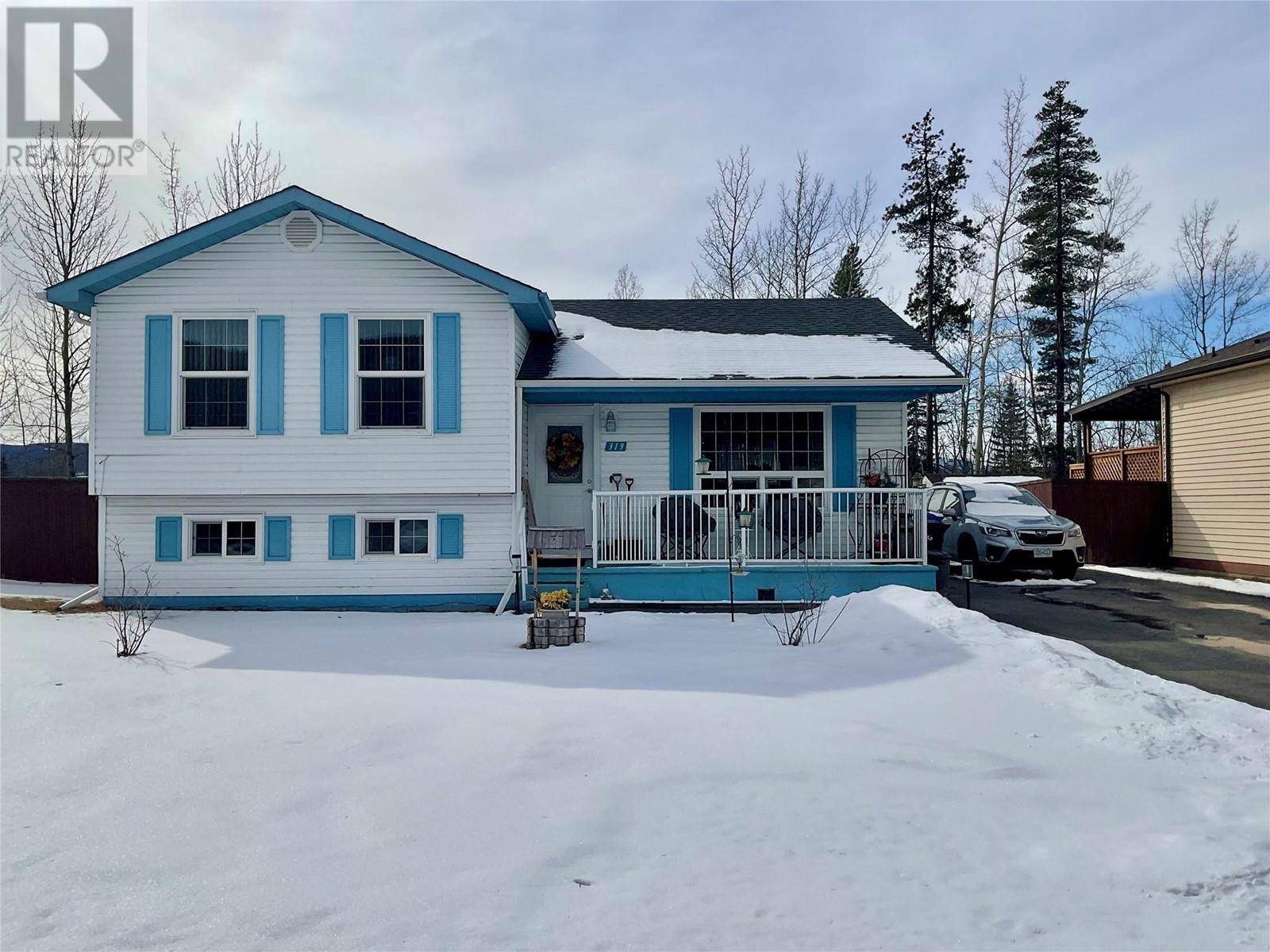 Tumbler Ridge, BC V0C2W0,319 Peace River Crescent
