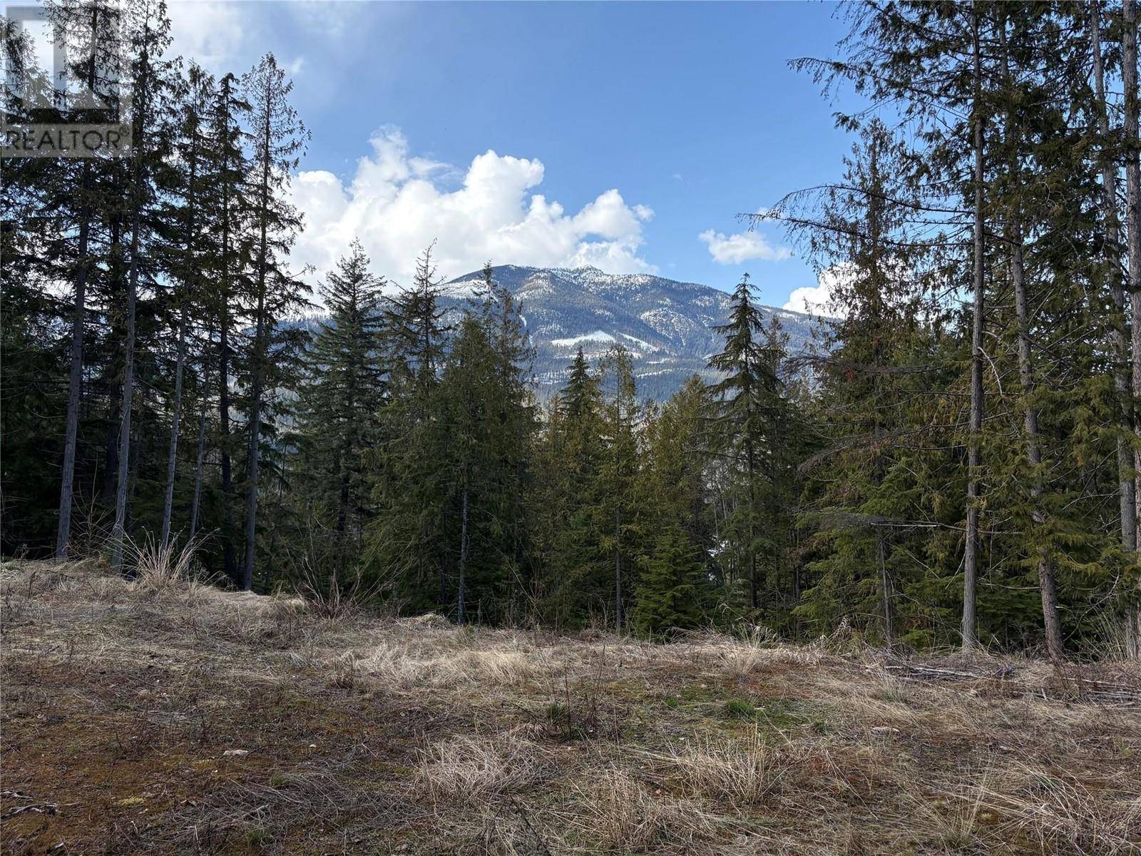 Procter, BC V0G1V0,8315 CHANTON Road