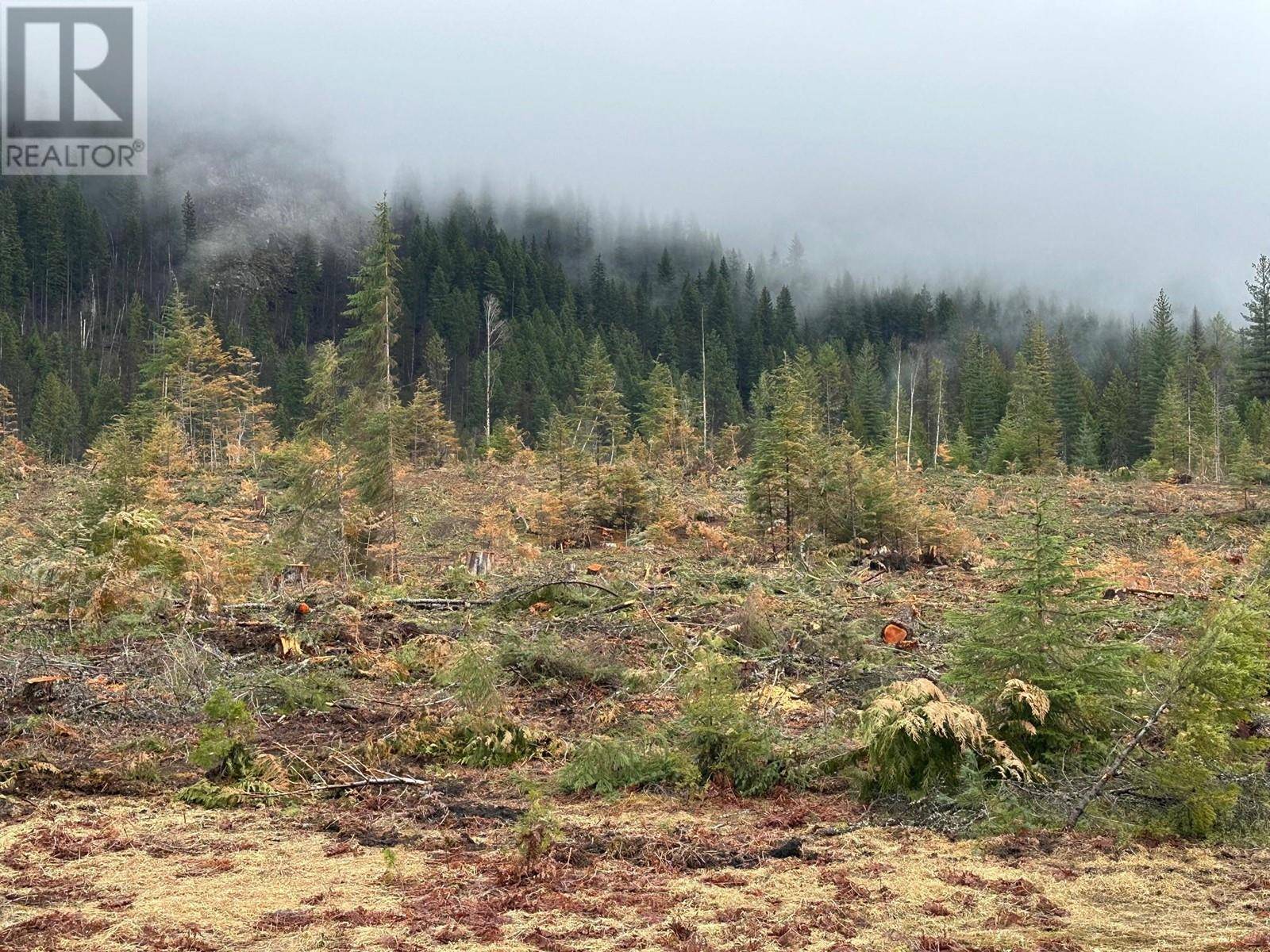 Winlaw, BC V0G2J0,Lot C Lancaster Road