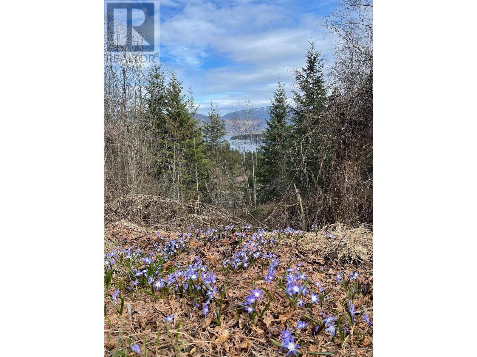 Blind Bay, BC V0E1H2,Lot 31 Summit Drive