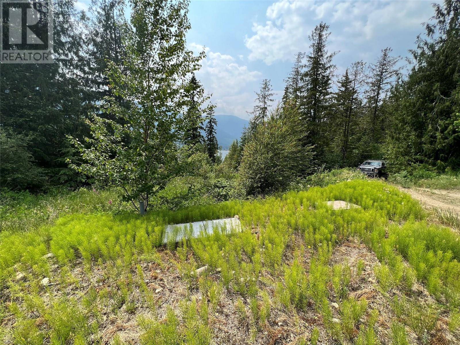 Nelson, BC V1L6W6,317 MOUNTAINVIEW Drive