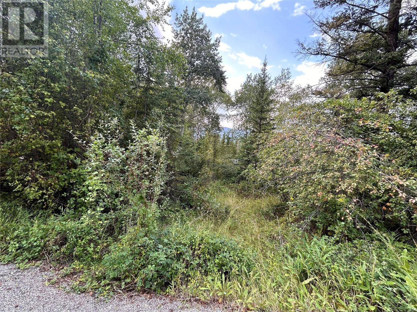 Fairmont Hot Springs, BC V0B1L1,5185 HOT SPRINGS Road