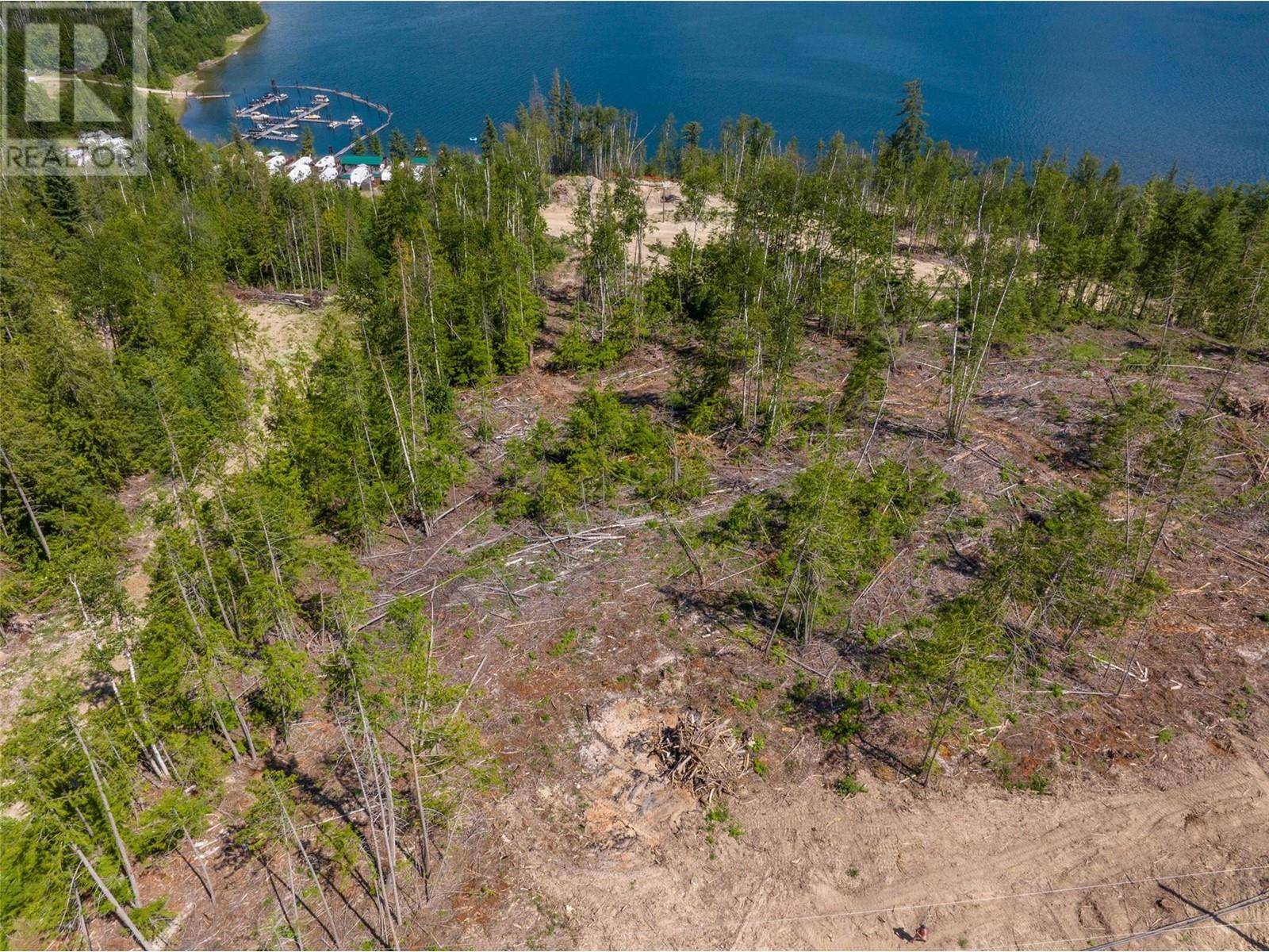 Adams Lake, BC V0E2E0,5600 ADAMS WEST FS RD #LOT 8