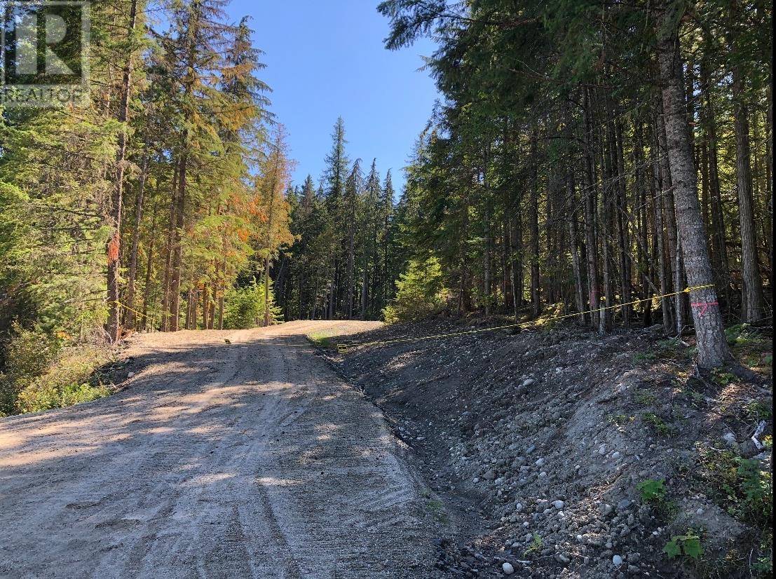 Nakusp, BC V0G1R1,Lot 1 BROUSE LOOP Road