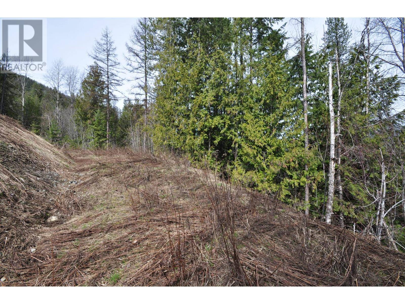 Nelson, BC V1L7A5,2835 SILVER KING Road