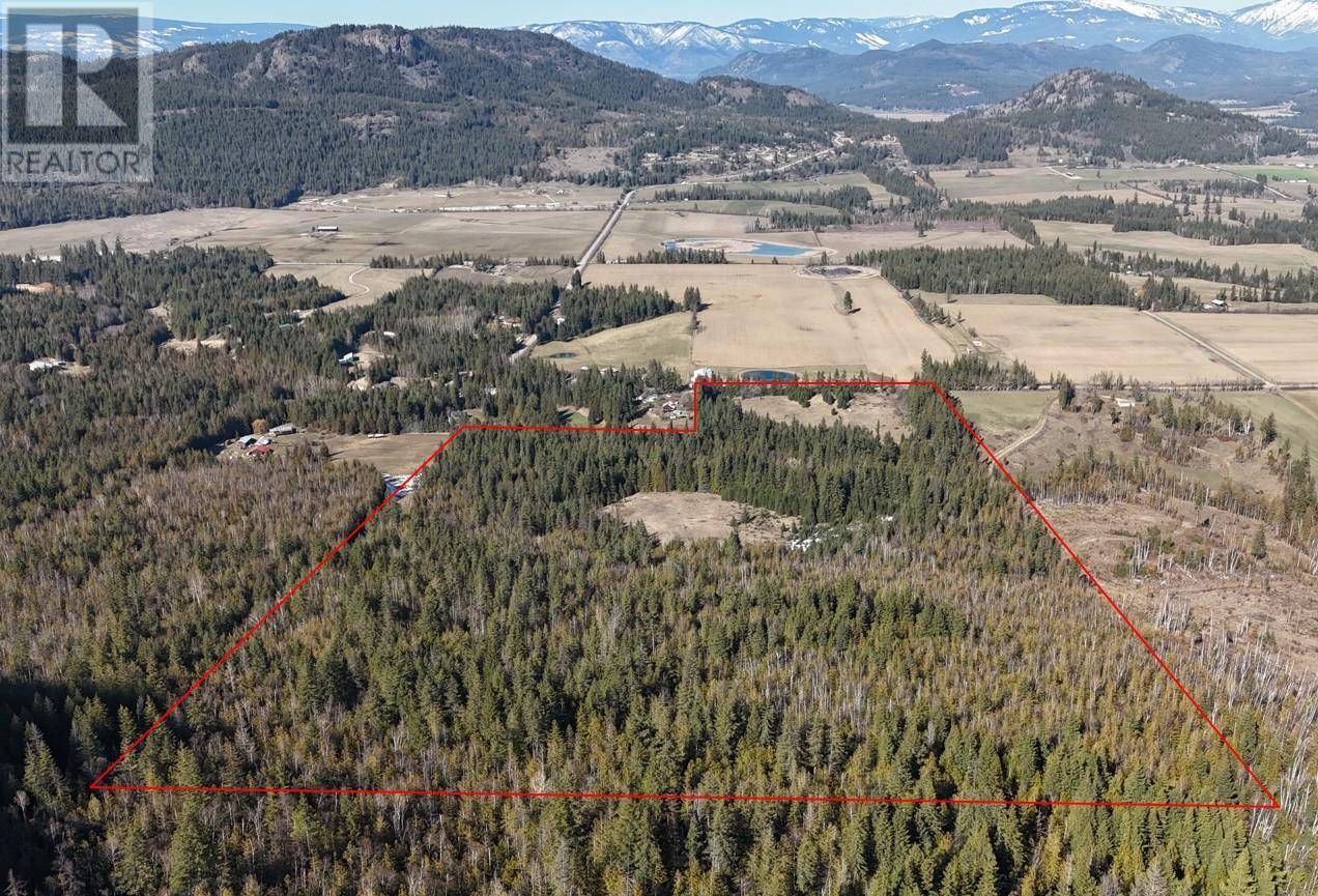 Tappen, BC V0E2X3,937 Tappen Valley Road Lot# 2