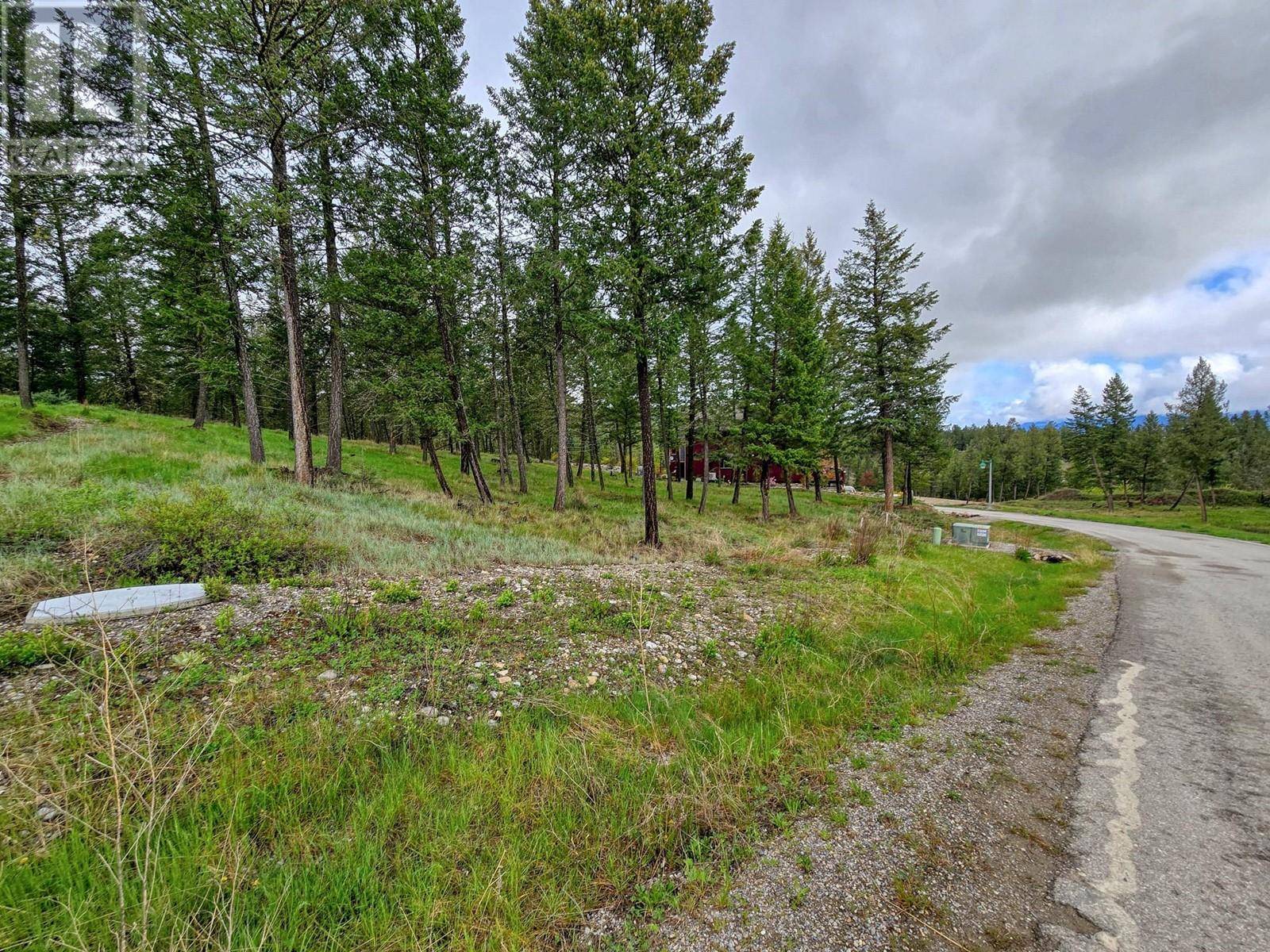 Invermere, BC V0A1K6,2454 Castlestone Drive