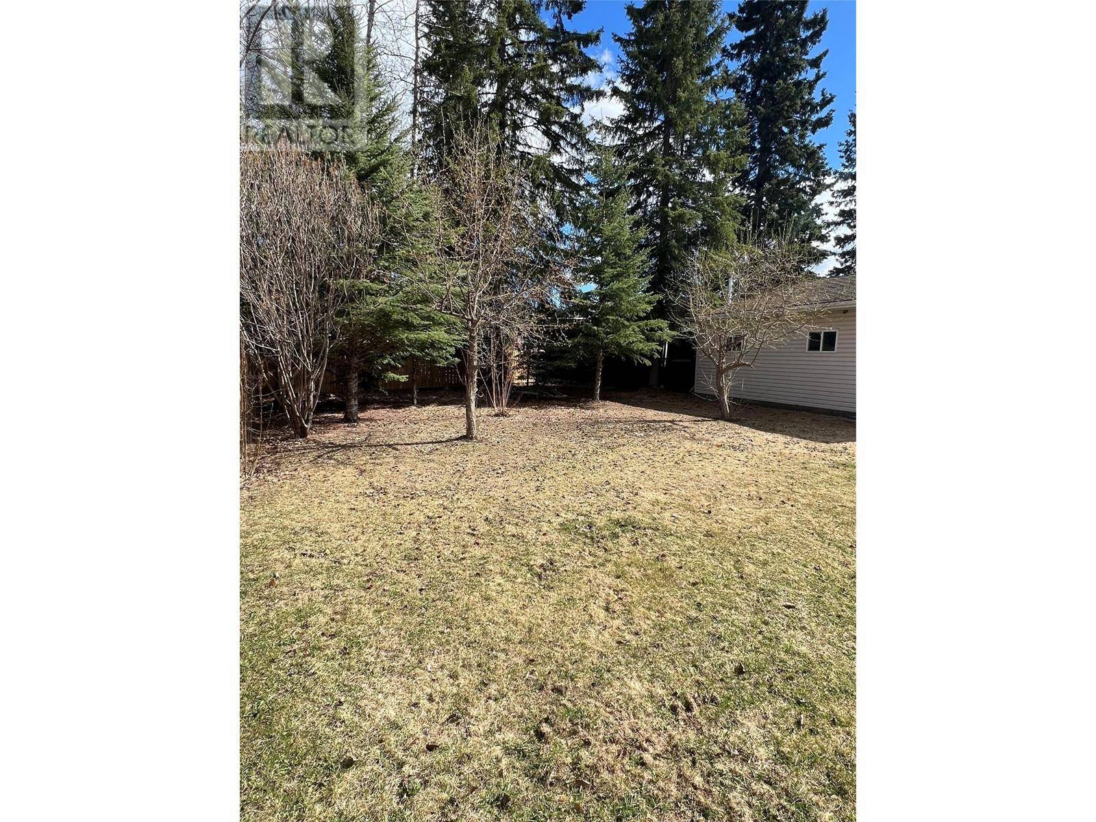 Tumbler Ridge, BC V0C2W0,236 MURRAY Drive