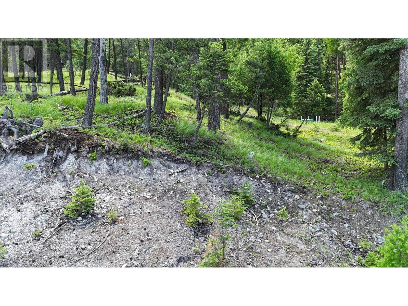 Wardner, BC V0B2J0,SL44 OSPREY Landing Drive