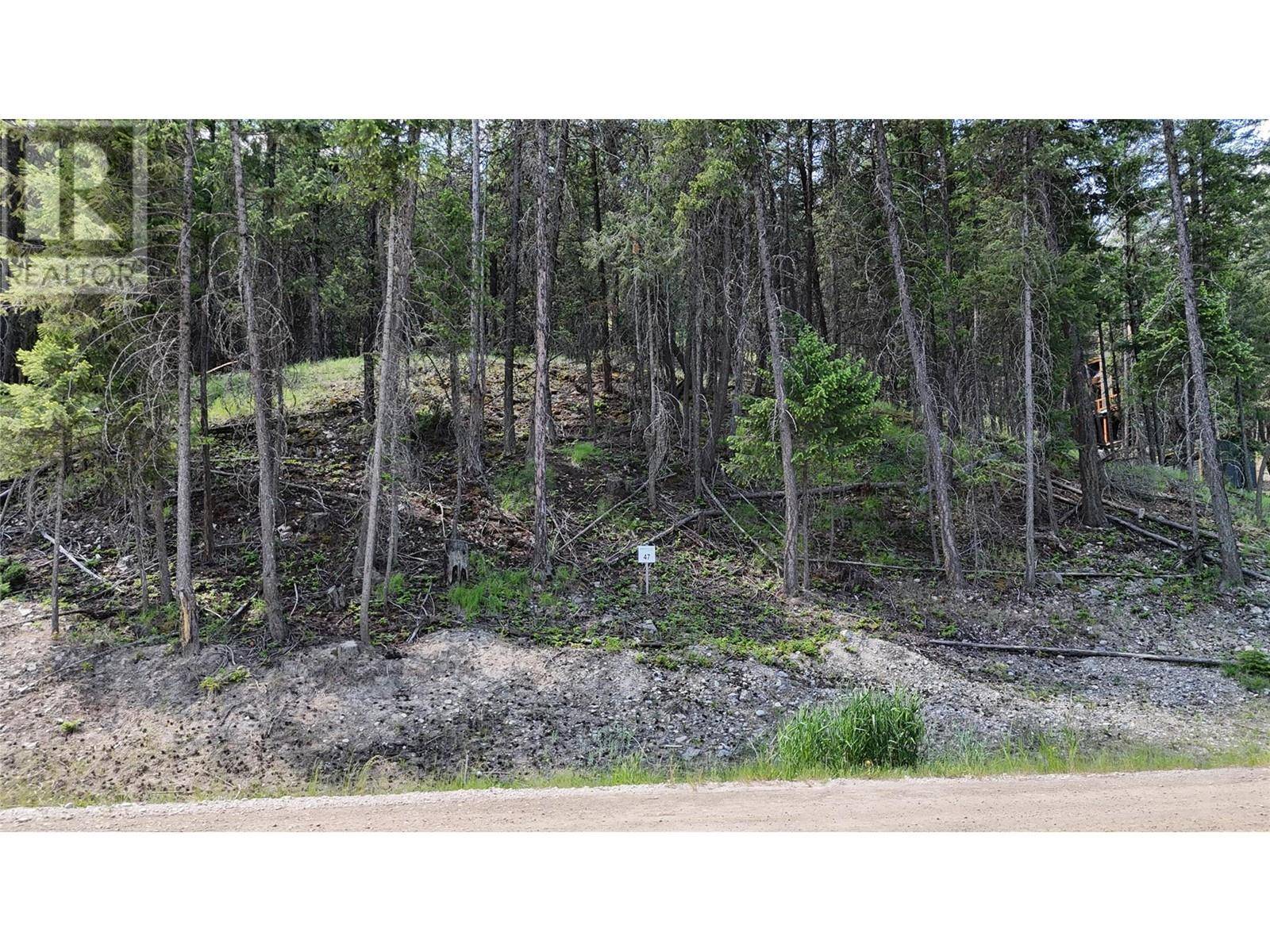 Wardner, BC V0B2J0,SL47 OSPREY LANDING Drive