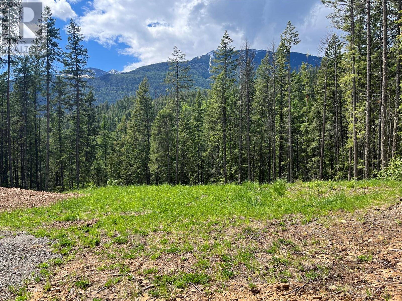 Kaslo, BC V0G1M0,Lot 13 PINE RIDGE Road