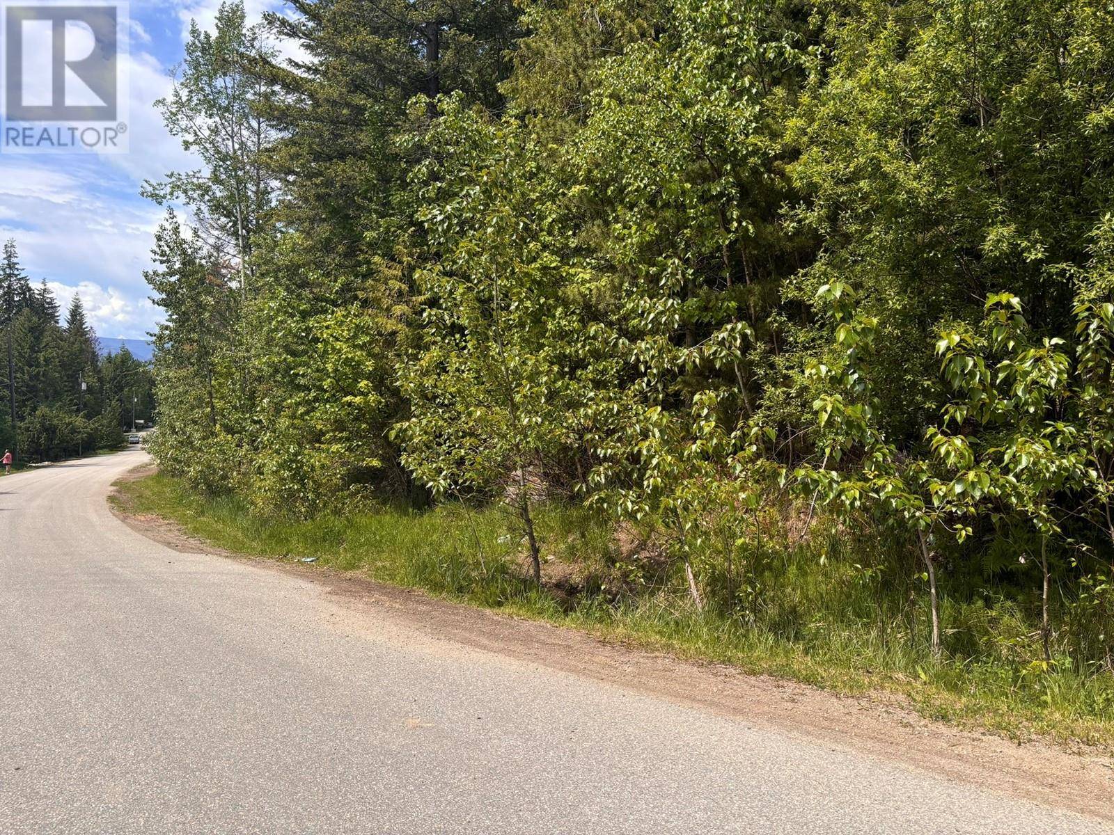 Anglemont, BC V0E1M8,Lot 158 Anglemont Drive
