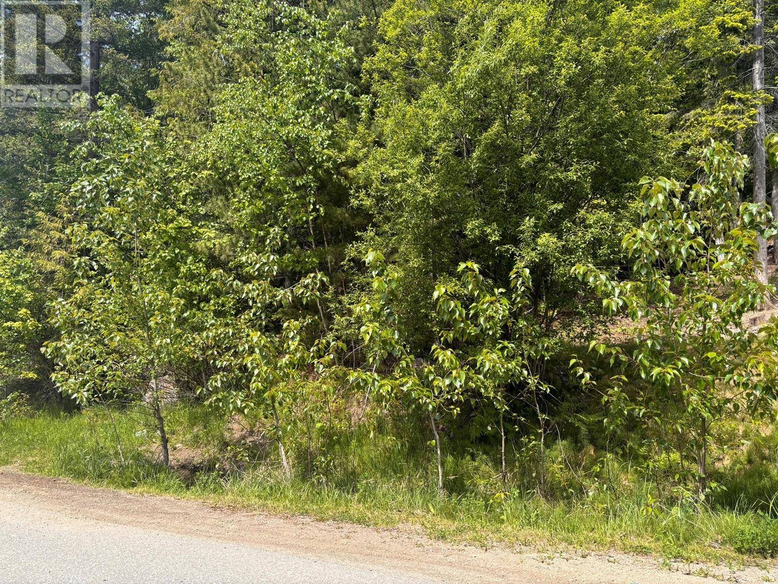 Anglemont, BC V0E1M8,Lot 158 Anglemont Drive