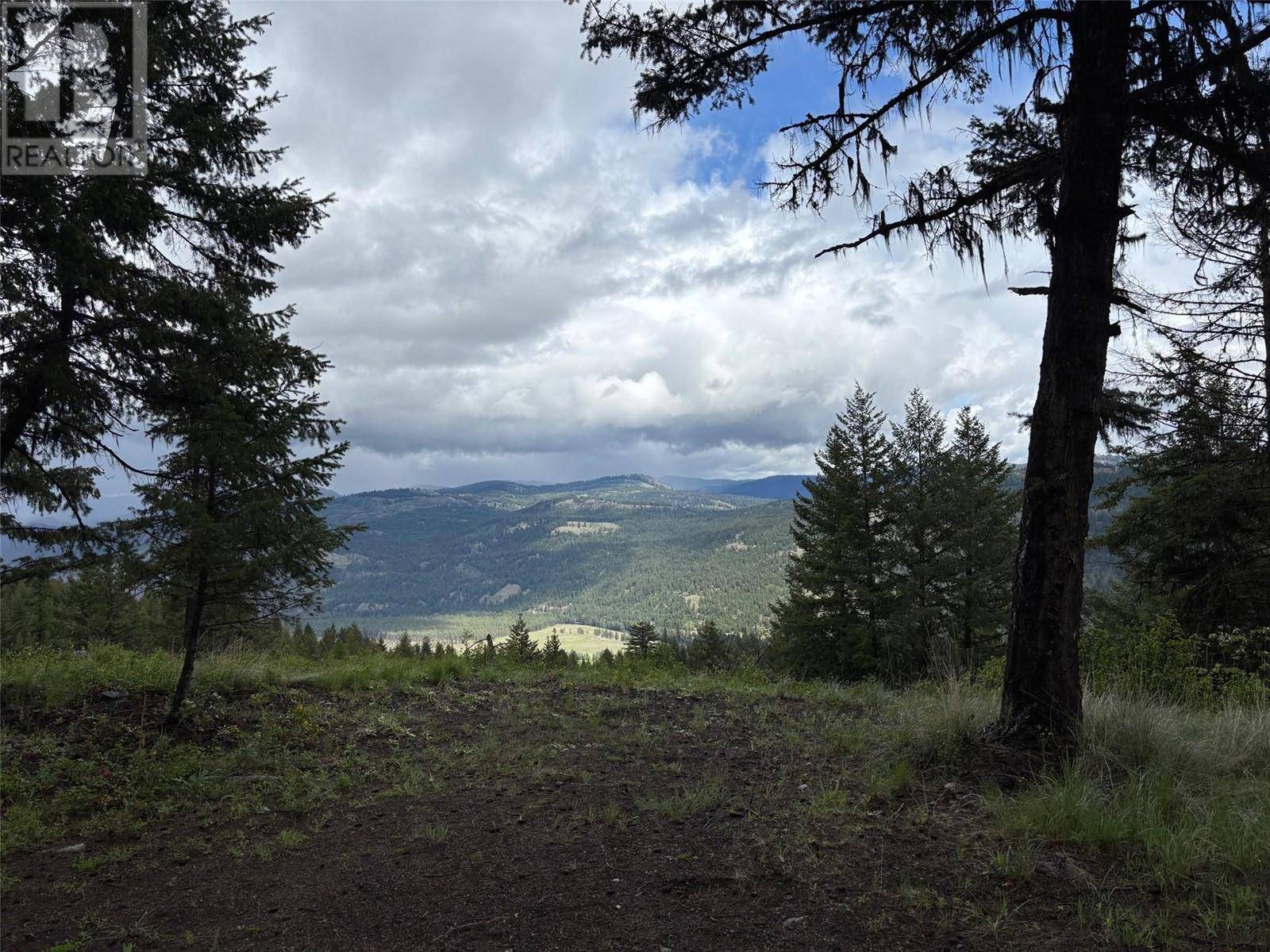 Rock Creek, BC V0H1Y0,Lot 2 HULME CREEK RD #Lot 2
