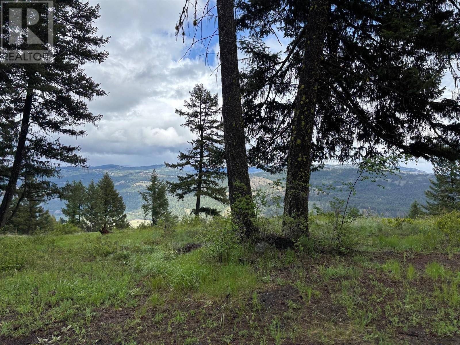 Rock Creek, BC V0H1Y0,Lot 3 HULME CREEK RD #Lot 3