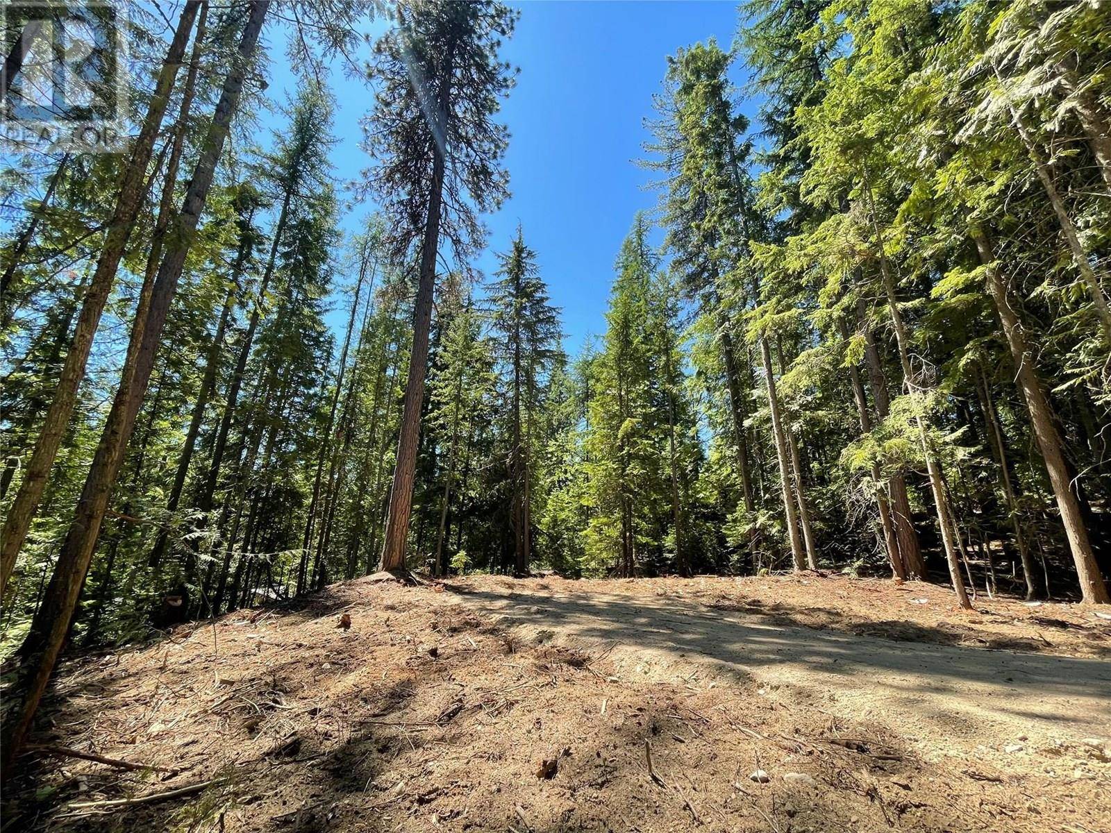 Bonnington, BC V0G2G3,Lot B Thompson Road