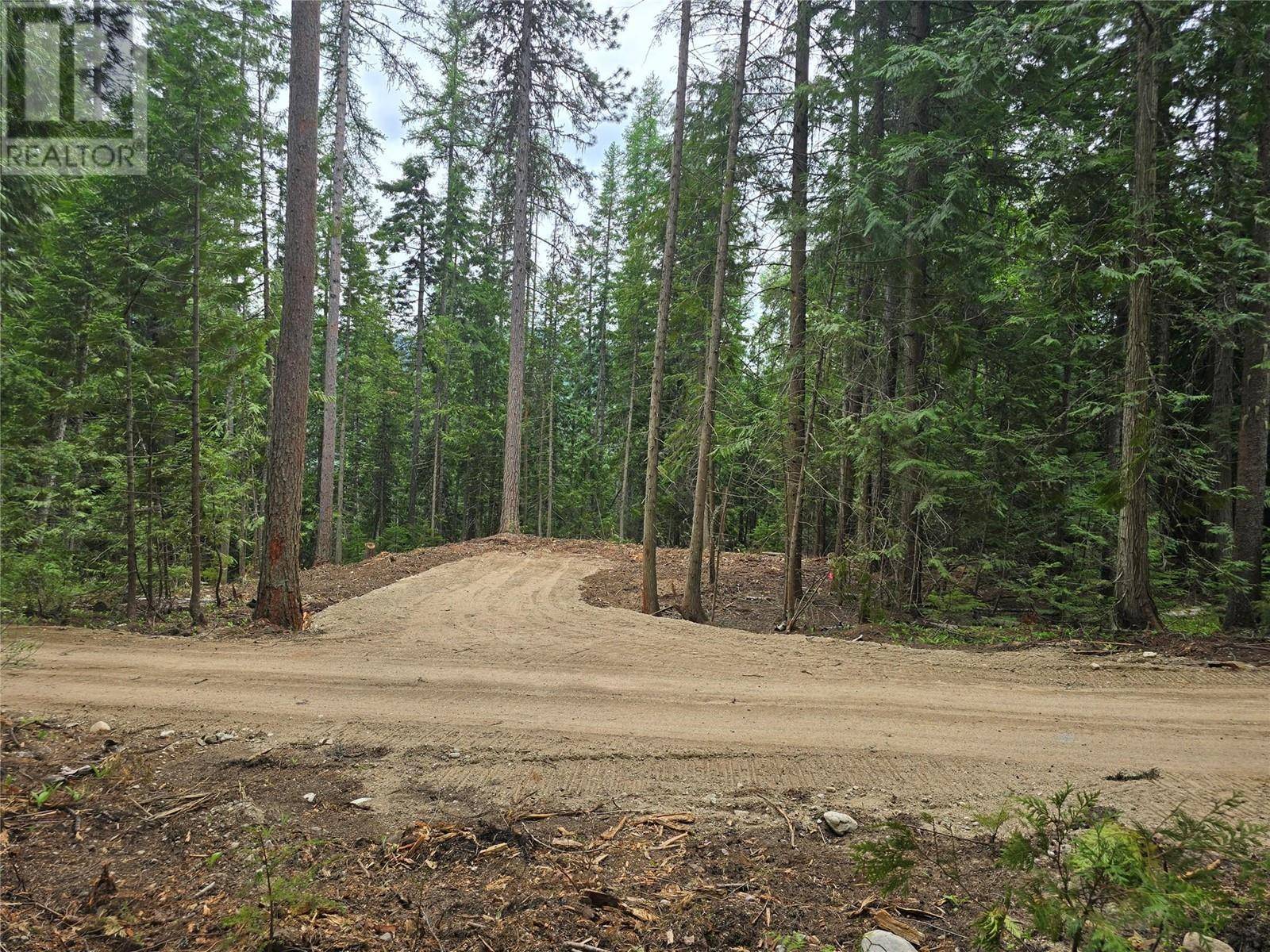 Bonnington, BC V0G2G3,Lot B Thompson Road