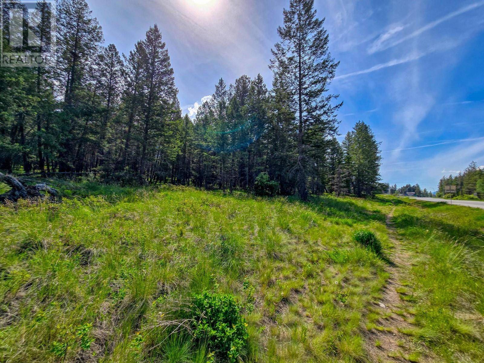Fairmont Hot Springs, BC V0B1L1,Lot 4 93/95 Highway