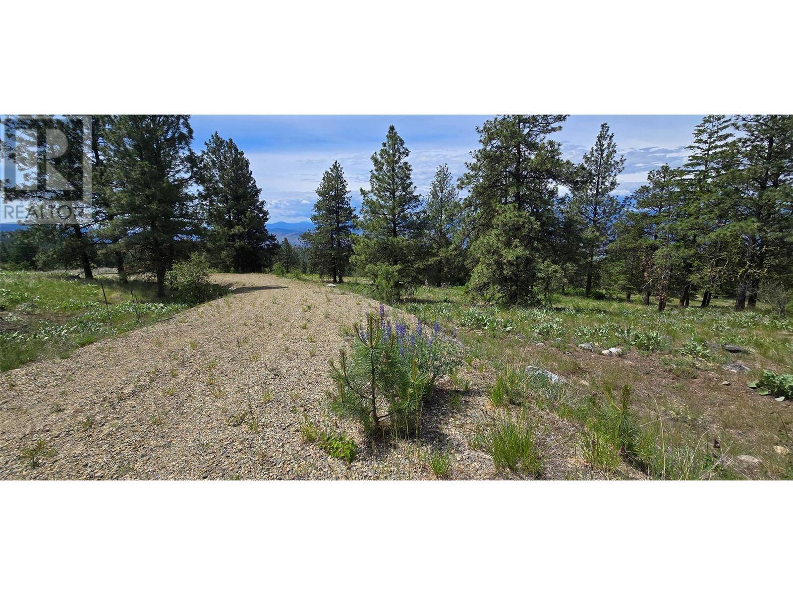 Osoyoos, BC V0H1V6,1035 Bullmoose Trail