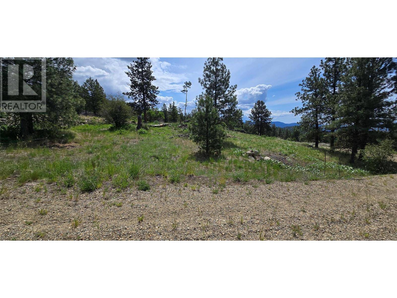 Osoyoos, BC V0H1V6,1035 Bullmoose Trail