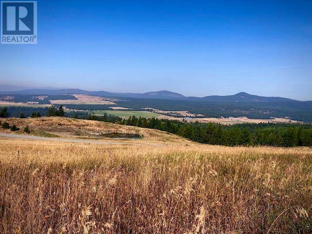 Bridesville, BC V0H1Y0,1284 TIMBERWOLF Trail Road
