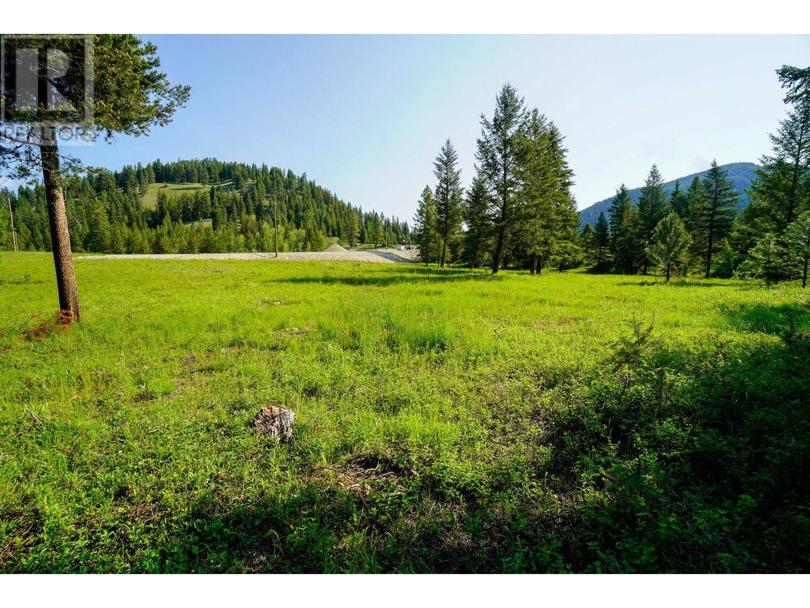 Beaverdell, BC V0H1A0,Lot 2 Mary G Road