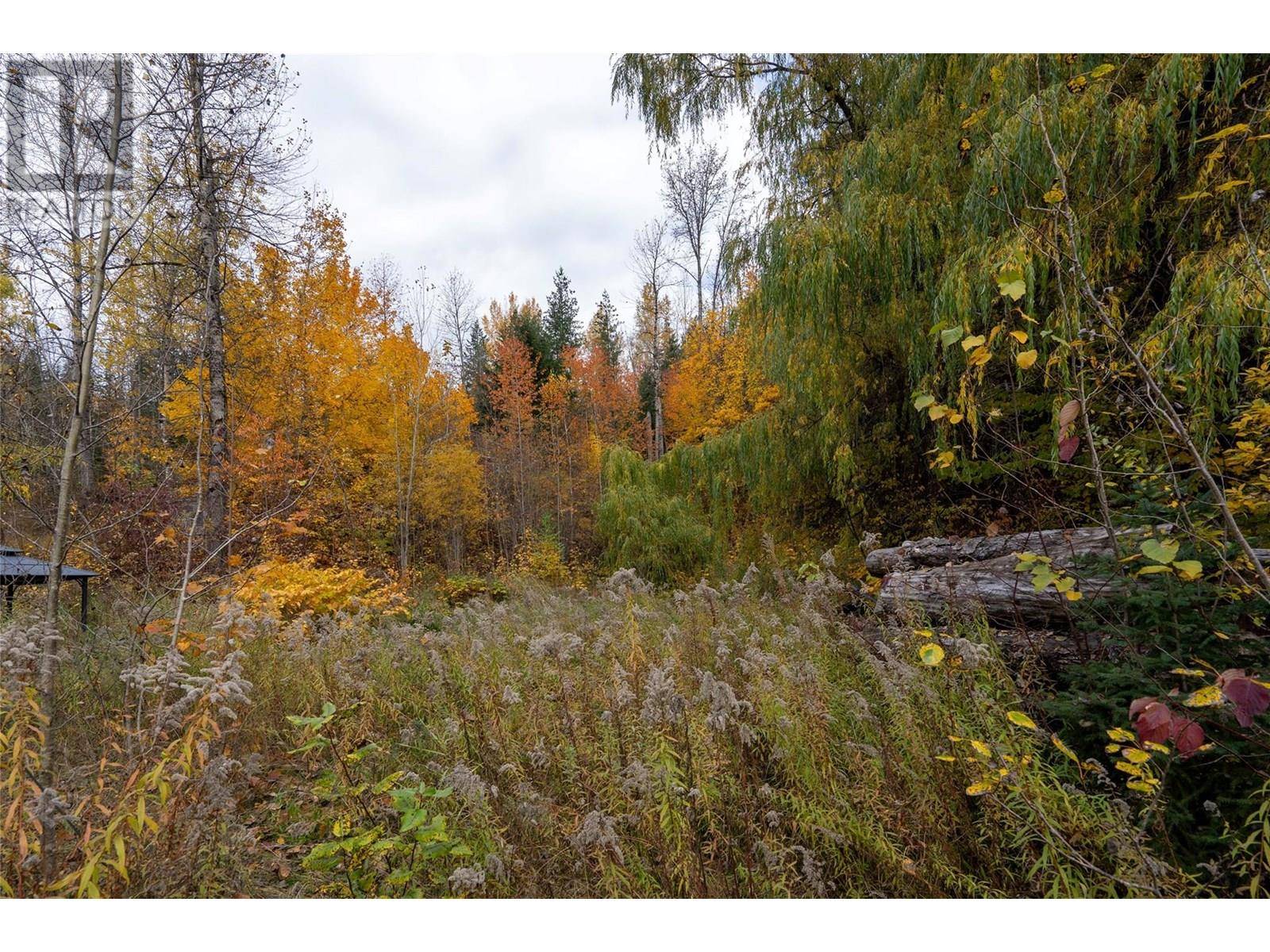 Revelstoke, BC V0E2S0,902 Farrell Road