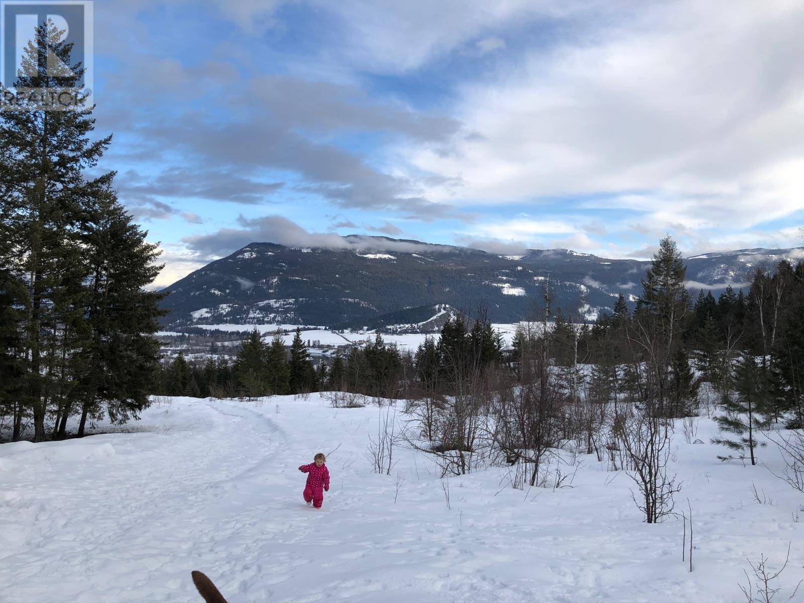 Enderby, BC V0E1V1,402 Princess Street