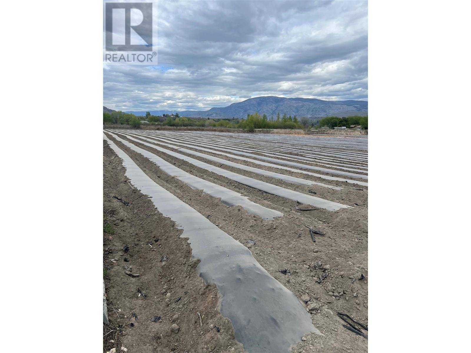 Oliver, BC V0H1T0,292 9 Road