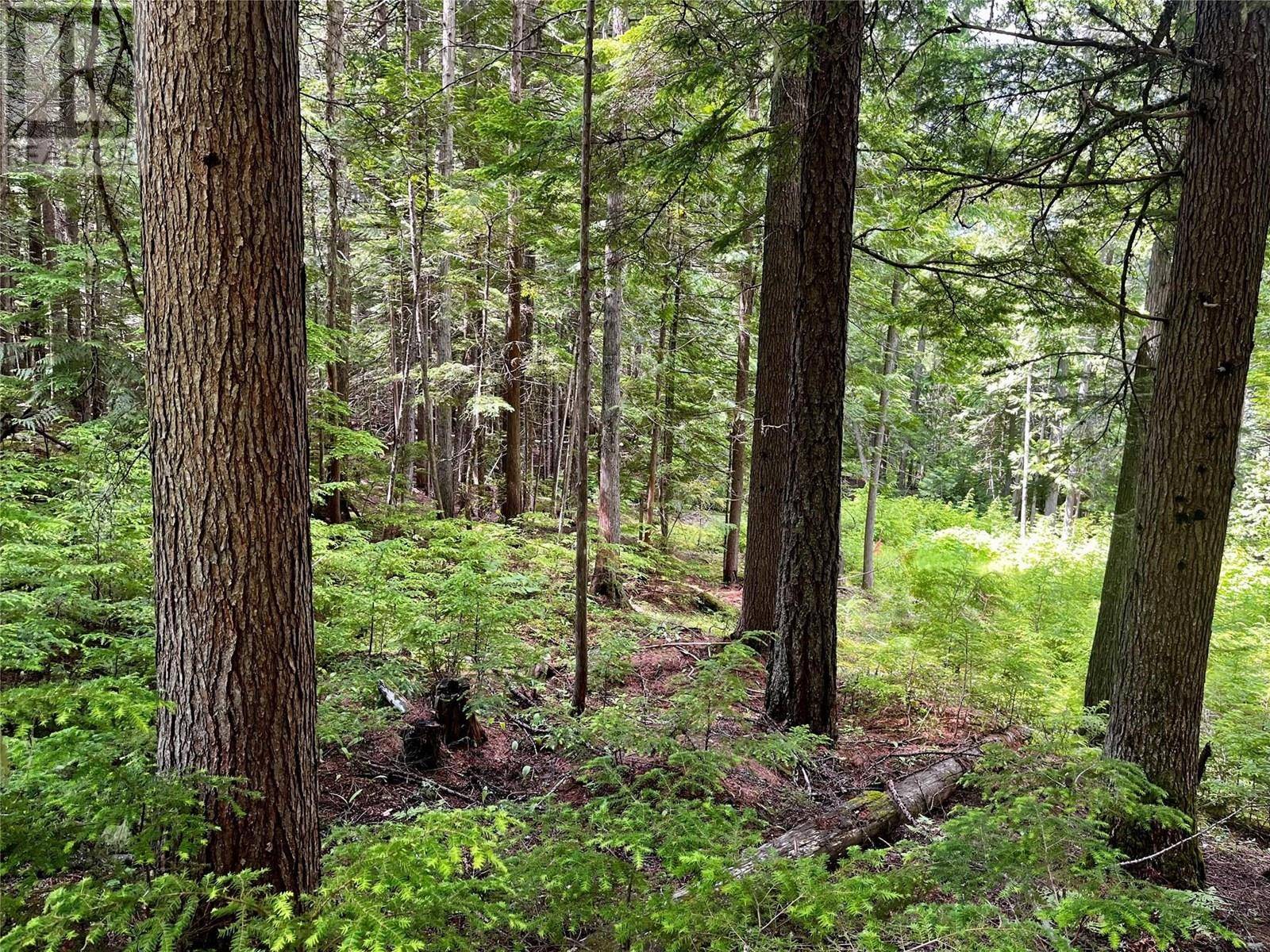 Silverton, BC V0G2B0,Red Mountain Road Lot# 2